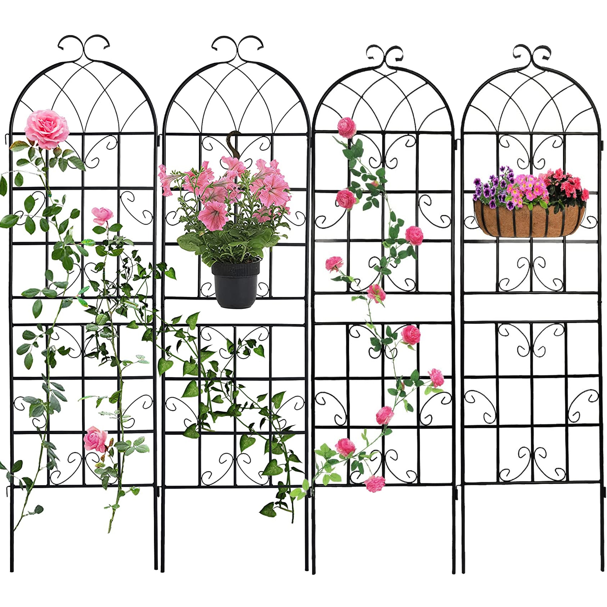 Red Barrel Studio 4 Pack Garden Trellis For Climbing Plants71"h X 19.7 ...