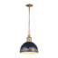 Luminaire suspendu 1 lumière Regena-106853598