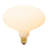 Oval E26 LED Bulb