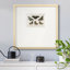 Janney Crackled Butterflies II, reproduction d'art encadrée-88431367-92931716-92931714