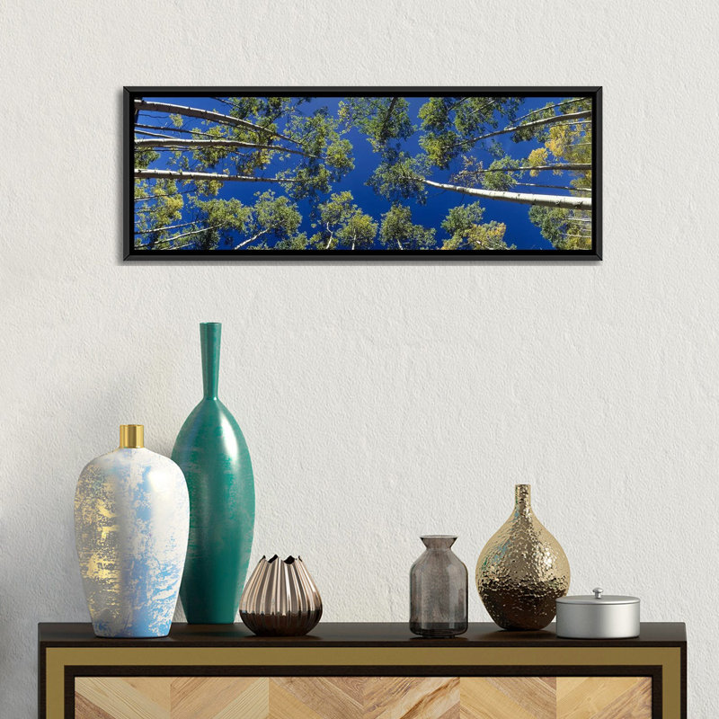 « panoramique white aspen trees », reproduction de photo sur toile tendue, H 12 po x l 36 po x P 1,5 po