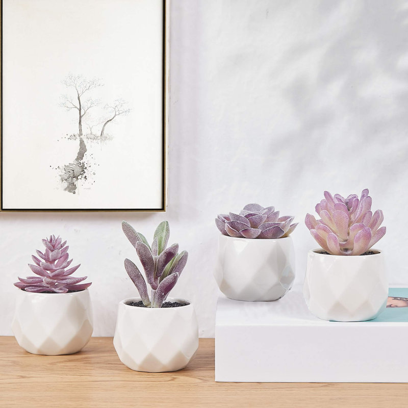 Mini ensemble de plantes vibrantes mauve