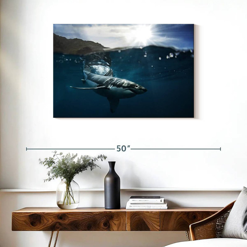 Brampt Shark Sunshine, 24" H x 36" W