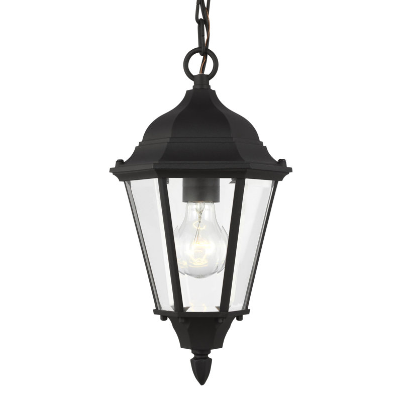 Bakersville One Light Outdoor Pendant from Generation Lighting , Black, No, Clear Shade