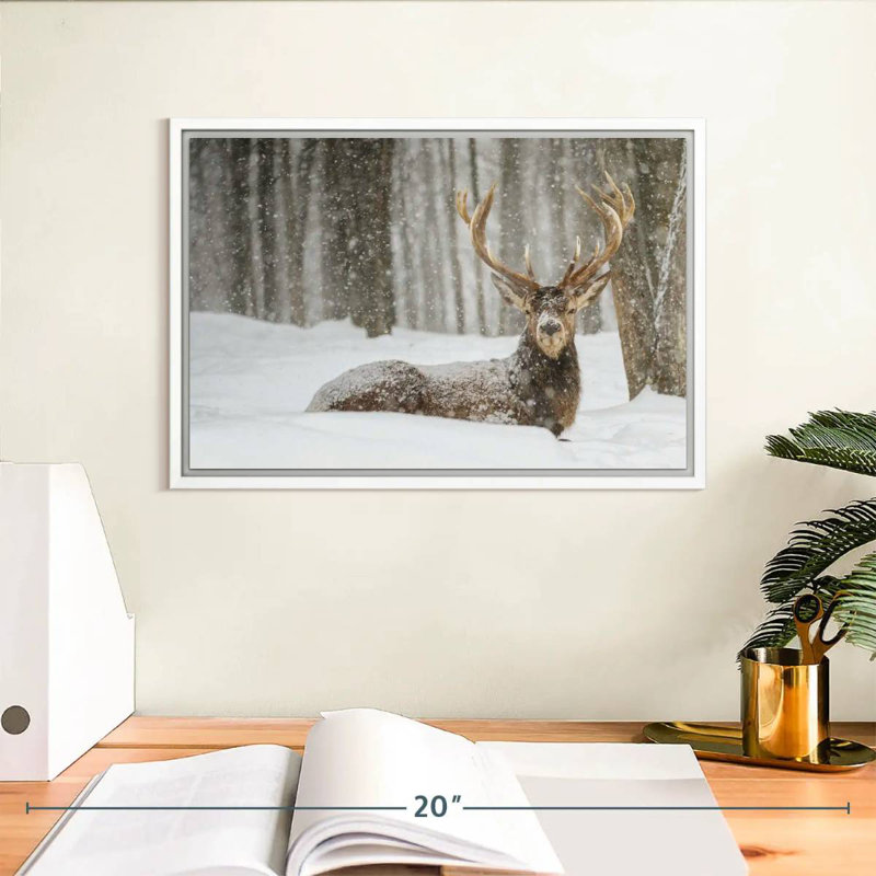 Snow Covered Elk, Floating Frame White, 13" X 9"