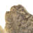 Abstract Figurines & Sculptures
