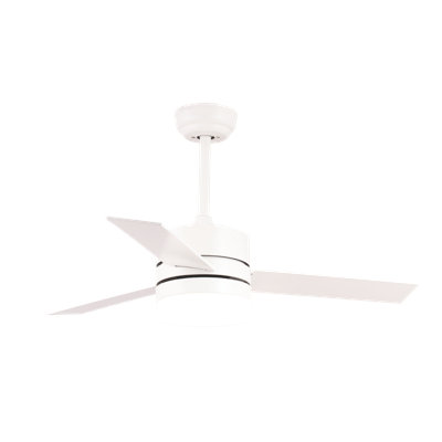 Asia 107cm Ceiling Fan with LED Lights