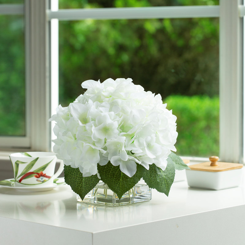 Arrangement d'hortensias dans un vase, Crème