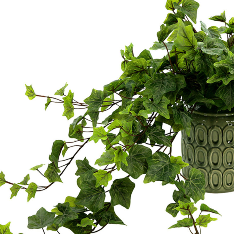Mauldin Faux Ivy Plant in Ceramic Vase