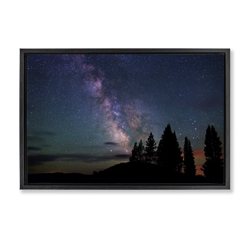 Silhouette flottante de la forêt et du ciel nocturne, conception par Royce Bair, Cadre flottant noir de jais