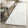 Delane White Area Rug