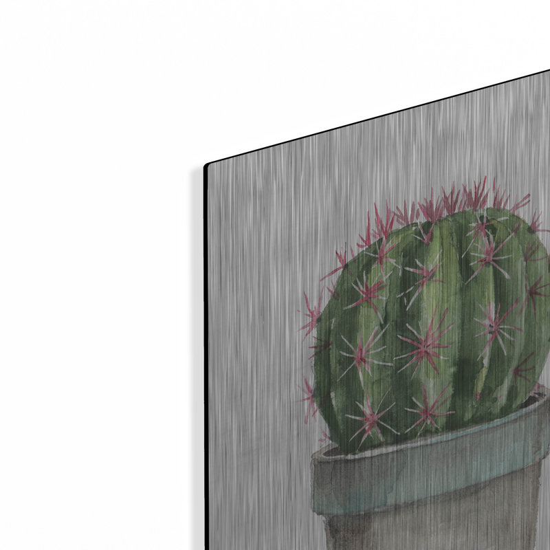 «Mixed Greens Succulent II» par Lisa Audit, H 24 po x l 16 po