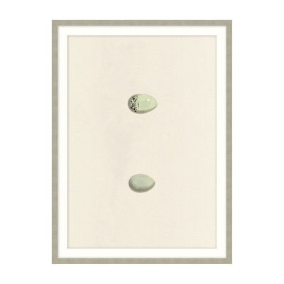 Unhatched 2 Illustration by Studio L57 Nouvelle