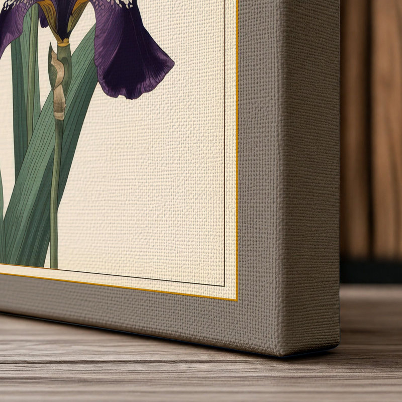 Purple Iris Study Botanical - Wrapped Canvas, 18x12 - 45.7 x 30.5 cm, Taupe Border