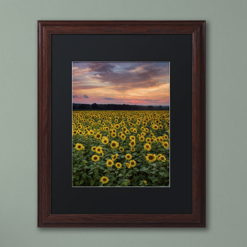 « tournesol », reproduction de photo sur toile encadrée, H 14 po x l 11 po x P 0,5 po, Noir, noir, noir, noir