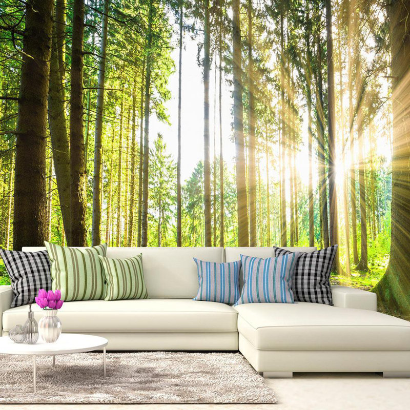 Debuono Wall Mural, 27" L x 39" W