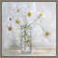 « Marguerites » par Mandy Disher, reproduction d’art sur toile encadrée