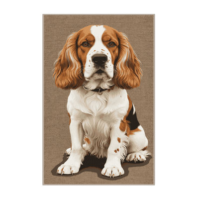  Tapis lavable pour chiens Brittany