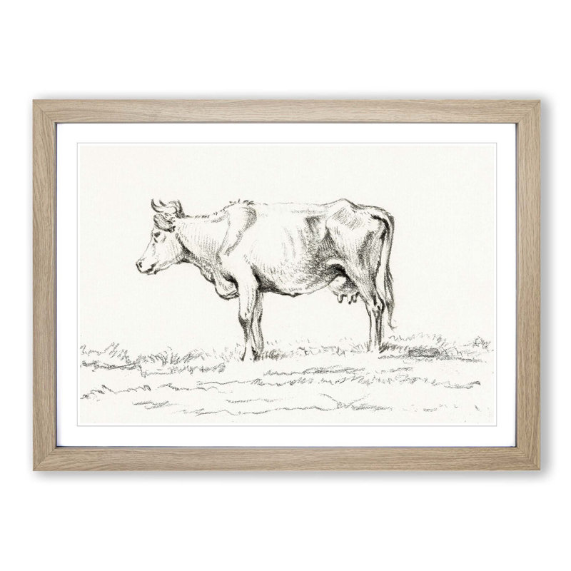 A Standing Cow by Jean Bernard - Single Picture Frame Print, Oak Framed, 33cm H x 45cm W x 2cm D