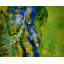 Spring Print by Pol Ledent-1764508590