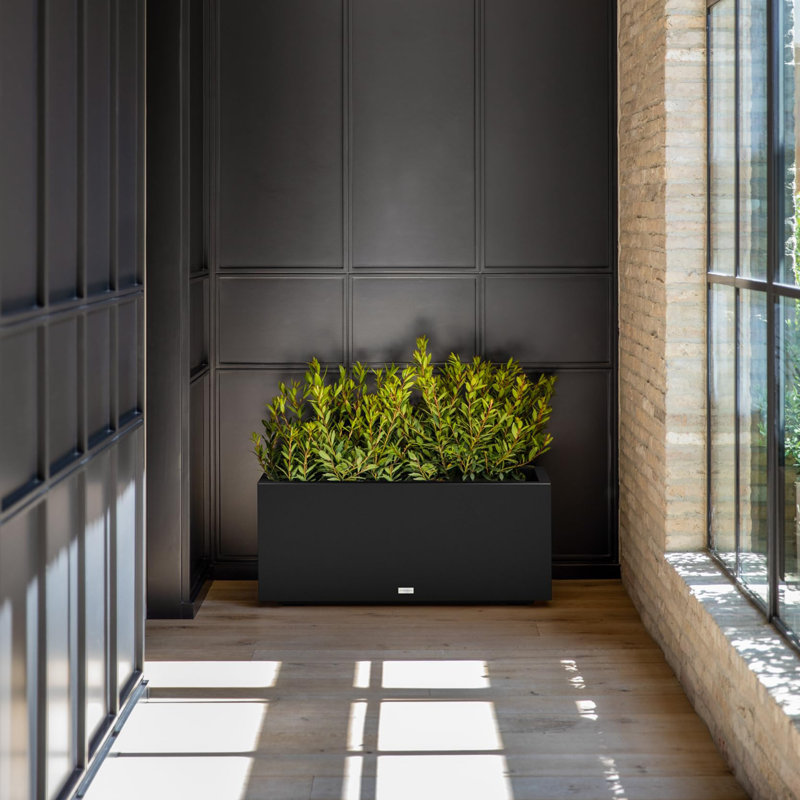 Large Rectangular Planter for Indoor or Outdoor, Black