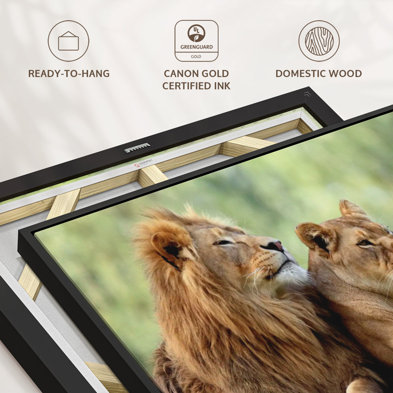 Animal " Lion Couple Wall Art ", 29" H x 43" W