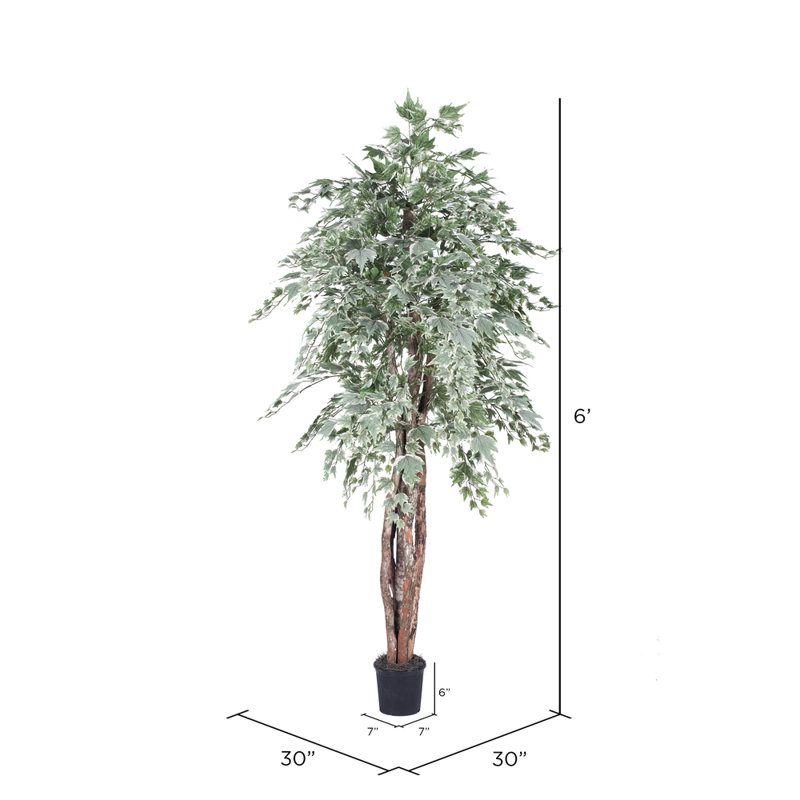 Arbre à feuillage en pot Executive