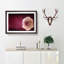 Lone Pink Rose in Abstract - Picture Frame Painting Print-55761145-55761148