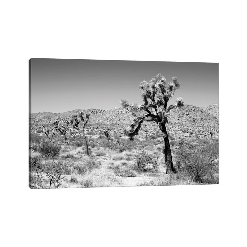Black California Series - Joshua Trees Desert - Wrapped Canvas Print, 66.04 cm H x 45.72 cm W x 3.175 cm D