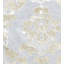 Palazzo Ricci Sheer Fabric