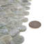 12" x 12" Glass Penny Round Mosaic Wall & Floor Tile