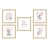 Gold Single Picture Framed Paper