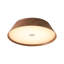 Flush Mount-1619339332