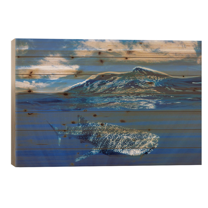 Requin-baleine, L 26 po x H 18 po