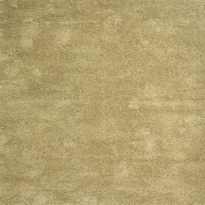 Indoor Rug