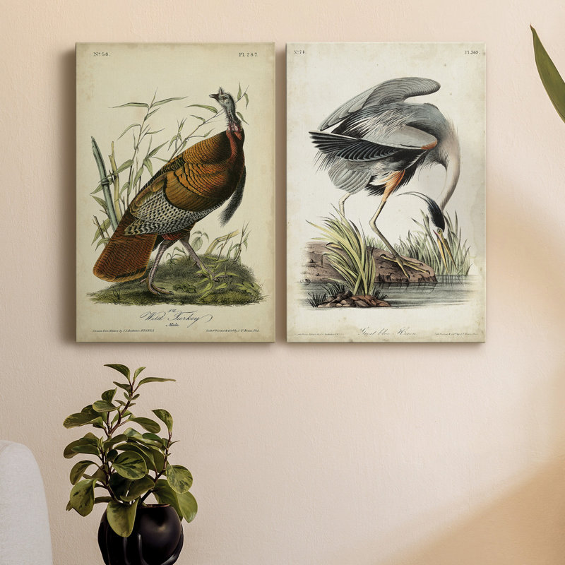 Toile tendue de qualité supérieure Audubon Wild Turquie - prête à être accrochée, H 12 po x l 8 po x P 1 po