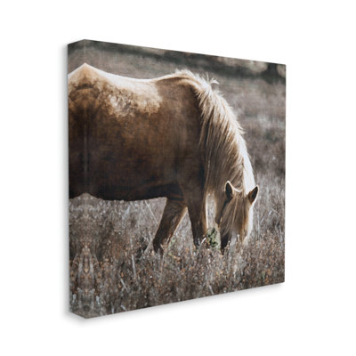 Cheval sauvage broutant sur toile par LSR Design Studio