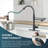 XWSI Pull Out Touch Kitchen Faucet