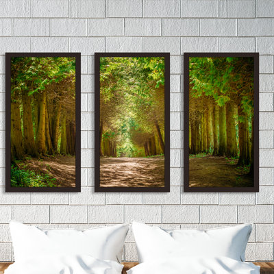 «Walkway Lane Path», ensemble de 3 reproductions de photos encadrées