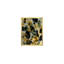 Radiant Botanica-1358686630