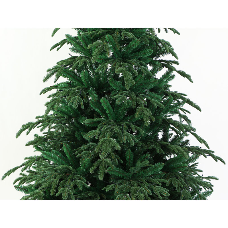 Christmas Tree, 5'