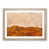 Oak selected