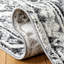 Tapis oriental gris / ivoire Allanton-1637808609