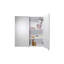 600 mm W 690 mm H Surface Mirrored Bathroom Cabinets with Mirror and 2 Adjustable Shelves