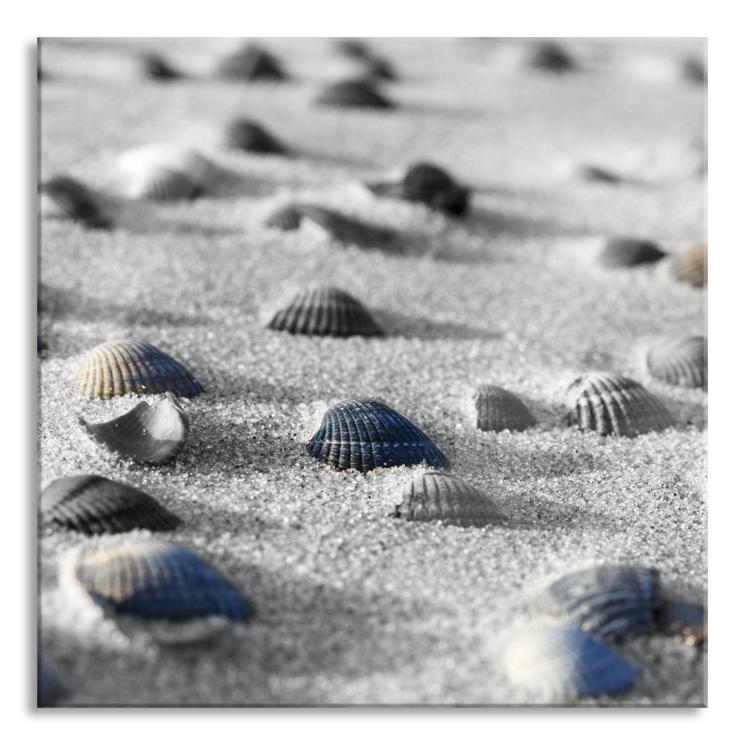 Glasbild Quadratisch | Wandbild Auf Echtglas | Muscheln Im Sand Inkl. Aufhängung Und Abstandshalter GLAS_LQy17390 2