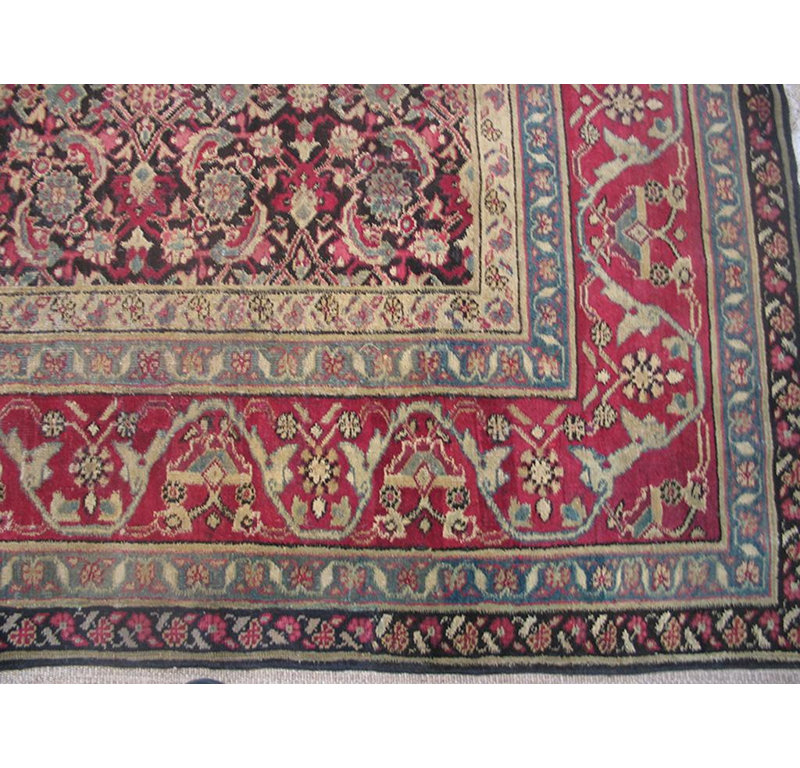 Antique Indian Agra Rug, Hand-Knotted Wool, 5'0" x 8'7", 1910