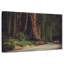 Route Harnek Sequoia-107859677