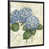 Black Framed Canvas is unavailable