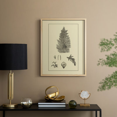 Arbour Study I Framed Print - Solid Wood