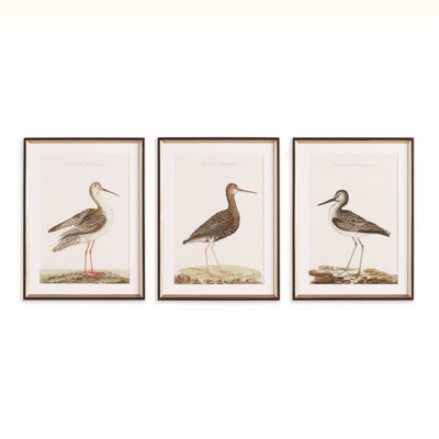 ETUDE OISEAUX WANDERING, ENSEMBLE DE 3